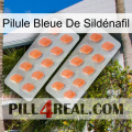 Pilule Bleue De Sildénafil 27